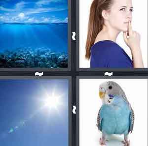 4 Pics 1 Word Level 13