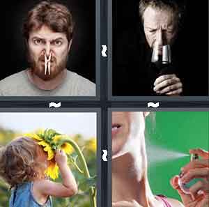 4 Pics 1 Word Level 427