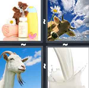 4 Pics 1 Word Level 517