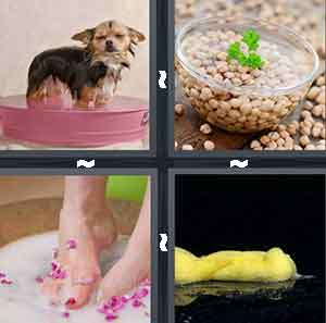 4 Pics 1 Word Level 538