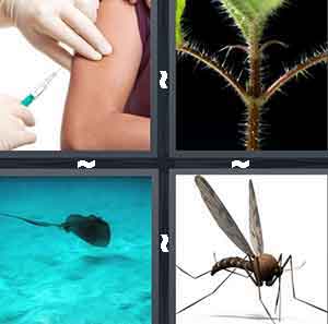4 Pics 1 Word Level 645