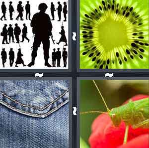 4 Pics 1 Word Level 744
