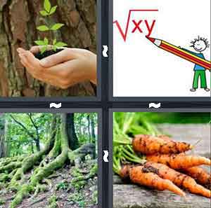 4 Pics 1 Word Level 849