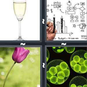 4 Pics 1 Word Level 1008