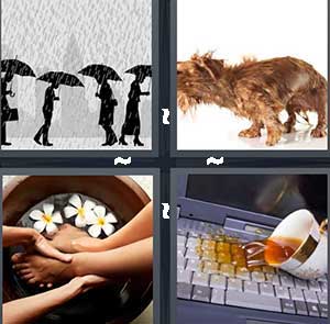 4 Pics 1 Word Level 1088