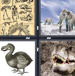 4 Pics 1 Word Level 1289