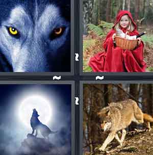 4 Pics 1 Word Level 1376