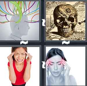 4 Pics 1 Word Level 1383