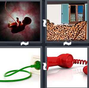 4 Pics 1 Word Level 1442