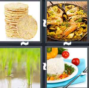 4 Pics 1 Word Level 1607