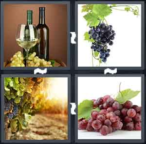 4 Pics 1 Word Level 1647