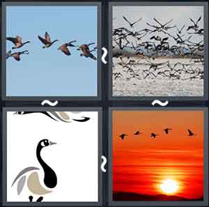 4 Pics 1 Word Level 1677