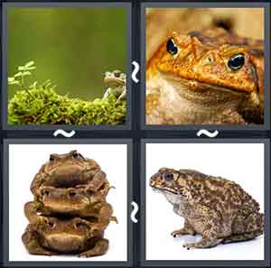 4 Pics 1 Word Level 1679
