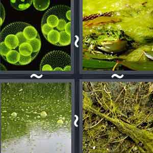 4 Pics 1 Word Level 1907