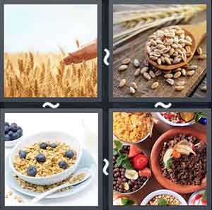 4 Pics 1 Word Level 2109