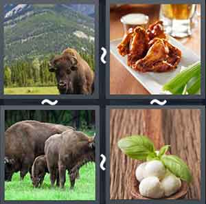 4 Pics 1 Word Level 2133