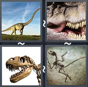 4 Pics 1 Word Level 2144