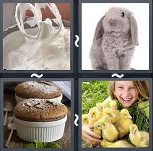 4 Pics 1 Word Level 2196