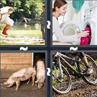 4 Pics 1 Word level 1 