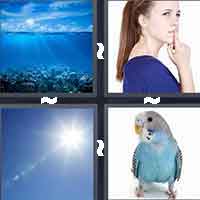 4 Pics 1 Word level 13 