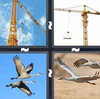 4 Pics 1 Word level 1-11 5 Letters
