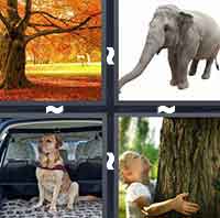 4 Pics 1 Word level 1-13 5 Letters