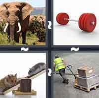 4 Pics 1 Word level 2-5 5 Letters