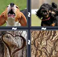 4 Pics 1 Word level 4-3 4 Letters