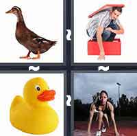 4 Pics 1 Word level 4-8 4 Letters