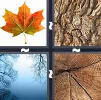 4 Pics 1 Word level 4-11 4 Letters