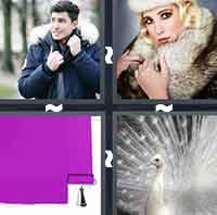 4 Pics 1 Word level 137 