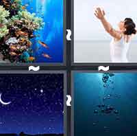 4 Pics 1 Word level 147 