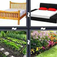 4 Pics 1 Word level 3-4 3 Letters