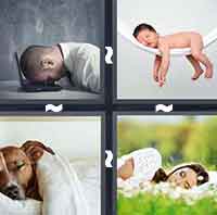 4 Pics 1 Word level 3-10 5 Letters