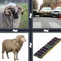 4 Pics 1 Word level 3-7 3 Letters
