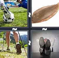 4 Pics 1 Word level 229 