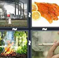 4 Pics 1 Word level 262 