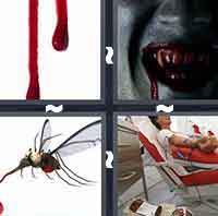 4 Pics 1 Word level 264 