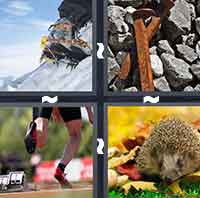 4 Pics 1 Word level 3-11 6 Letters