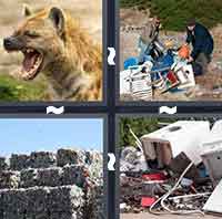 4 Pics 1 Word level 321 