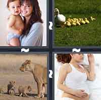 4 Pics 1 Word level 325 