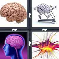 4 Pics 1 Word level 7-3 5 Letters