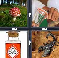 4 Pics 1 Word level 4-9 6 Letters