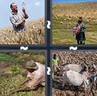4 Pics 1 Word level 458 