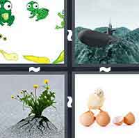4 Pics 1 Word level 460 