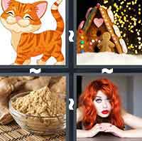 4 Pics 1 Word level 495 