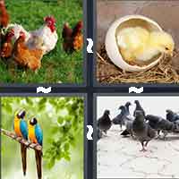 4 Pics 1 Word level 511 