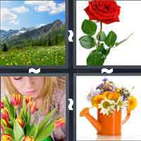 4 Pics 1 Word level 7-7 6 Letters