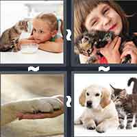 4 Pics 1 Word level 671 