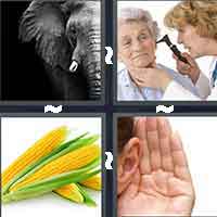 4 Pics 1 Word level 673 